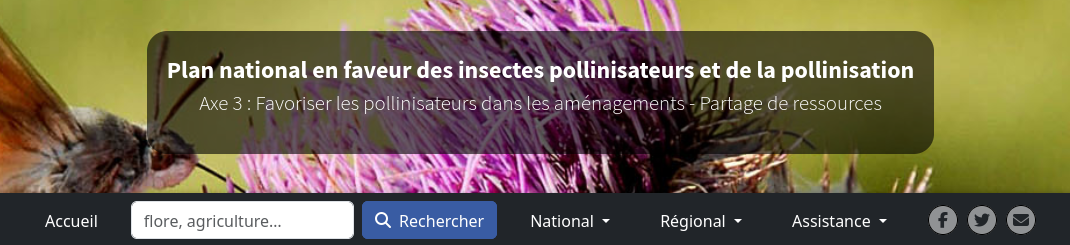 aperçu du site de partage de ressources