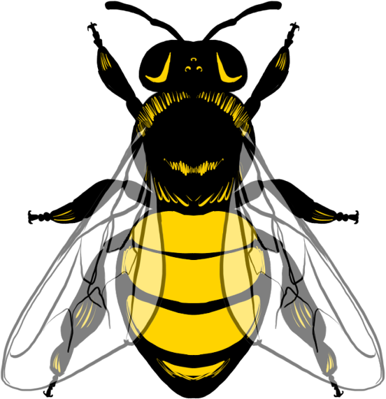 bourdon