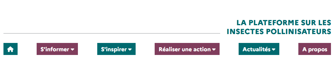 aperçu de la plateforme pollinisateurs